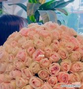 玫瑰花代表的数量和情感的密切关系 玫瑰花送多少朵的含义
