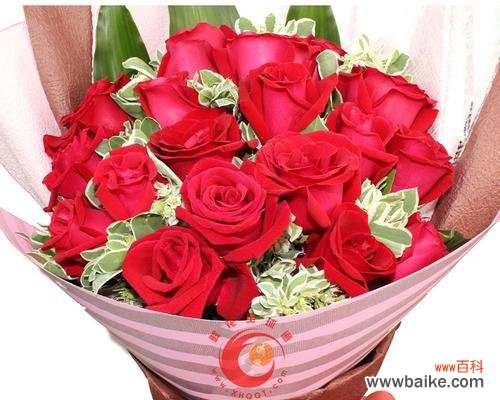 用花语表达情感,19朵玫瑰花代表了什么? 玫瑰花19朵的寓意与意义
