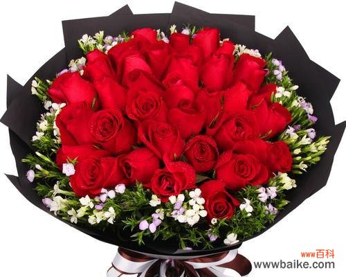 13朵红玫瑰代表了什么?