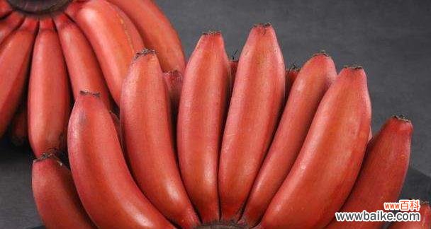 生日送香蕉的花语有何寓意?