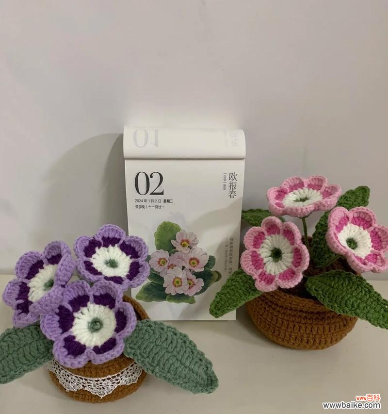 报春玫瑰的花语寓意是什么？它象征着什么？