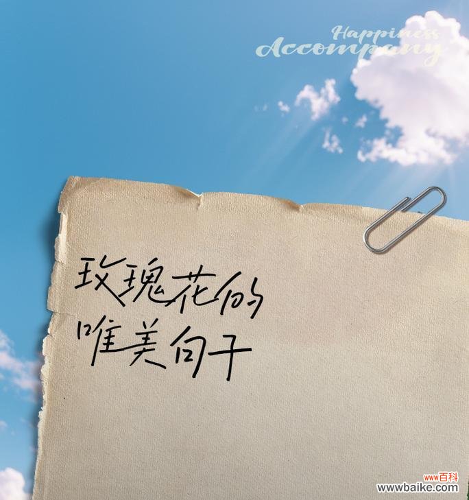 特大玫瑰花的花语含义是什么？特大玫瑰花代表什么？