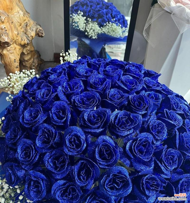 蓝色玫瑰花语有何寓意?观花时蓝色玫瑰代表什么?