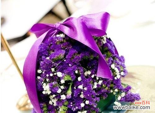 探寻紫色满天星背后的深意 紫色满天星的花语与寓意