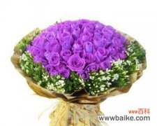 探索紫色玫瑰花的情感和文化内涵 紫色玫瑰花的意义和象征