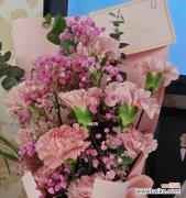 传递爱与祝福的花语之选 男友送康乃馨，寓意深远