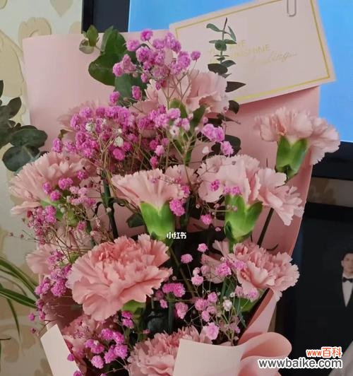 传递爱与祝福的花语之选 男友送康乃馨，寓意深远