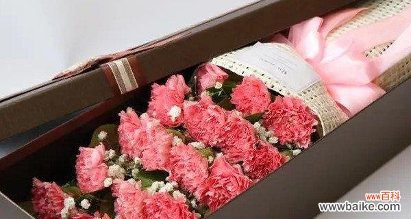 传递爱与祝福的花语之选 男友送康乃馨，寓意深远