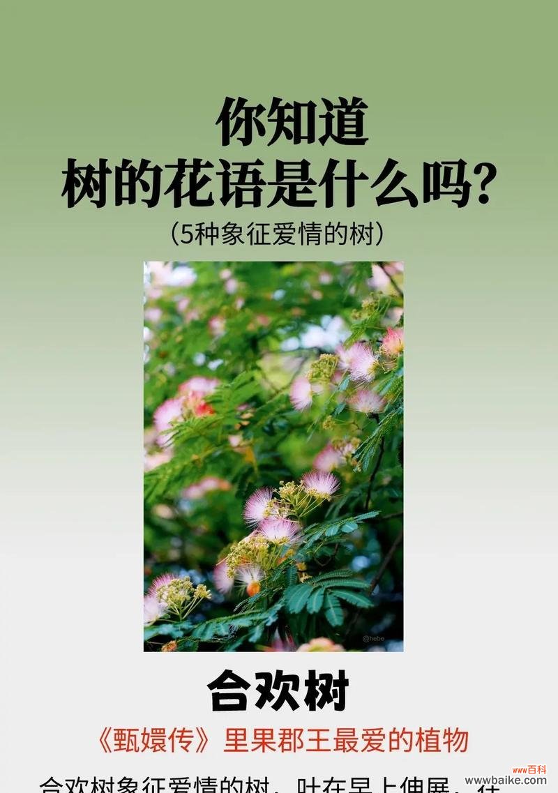 没有话题的花语有何深意？它在花语中扮演什么角色？