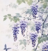 摇摆的紫藤花语和寓意是什么？它象征着什么？