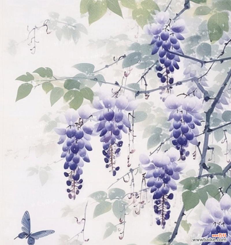 摇摆的紫藤花语和寓意是什么？它象征着什么？