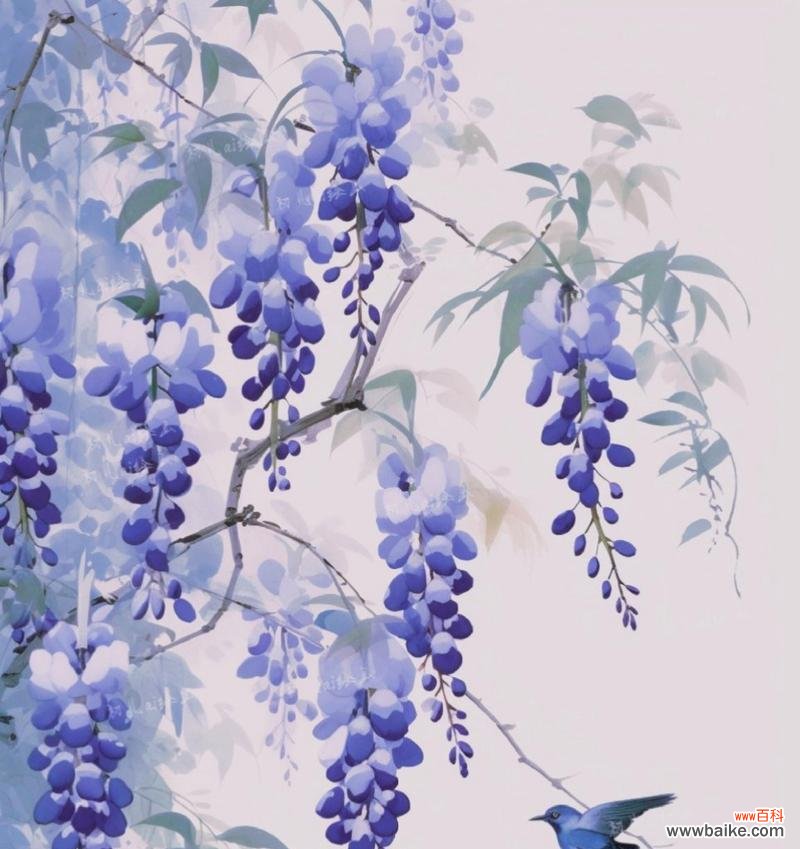 摇摆的紫藤花语和寓意是什么？它象征着什么？