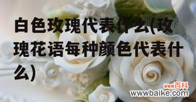 揭开11朵玫瑰的神秘面纱,传达不同的情感 11朵玫瑰花语的意义与传承