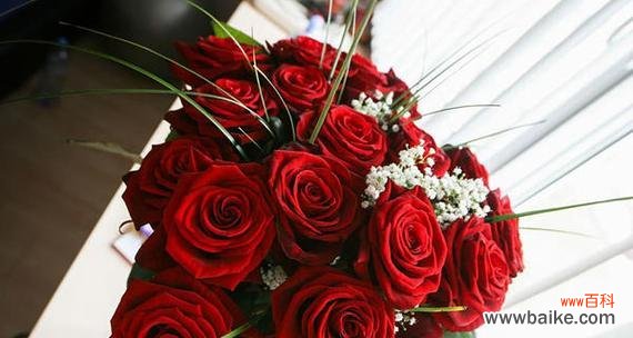 玫瑰花支数 玫瑰花支数的含义