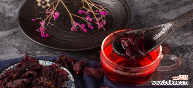 解密玫瑰茄的花语和神奇能力 玫瑰茄传说