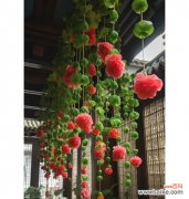 九色海棠的花语具体是什么？