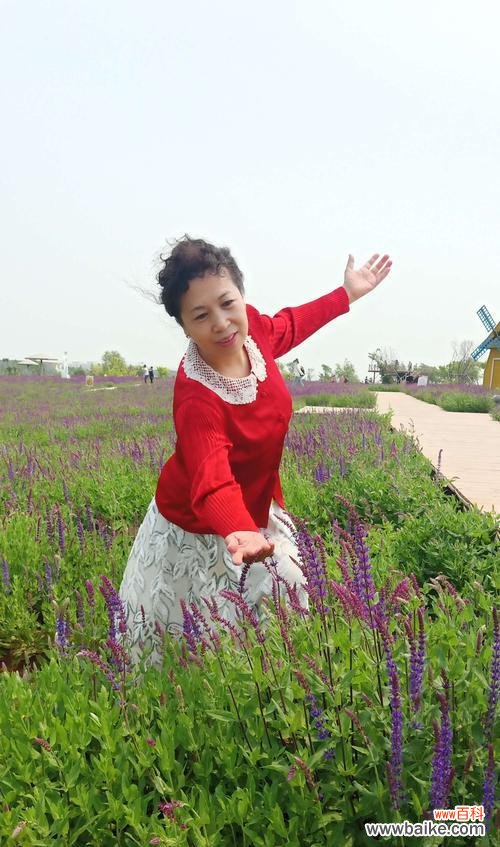 玉露花的花语是什么意思?