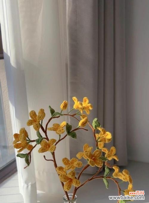 连翘花的花语是什么意思？