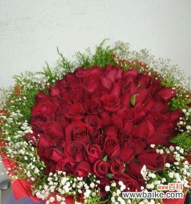 玫瑰花几朵代表的含义与情感世界 玫瑰花的寓意与象征——解读玫瑰花的含义