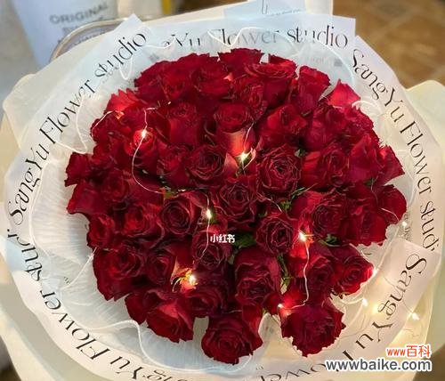 探索玫瑰的深层含义 玫瑰的意义与象征