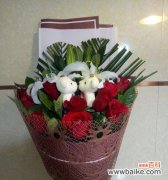 解读玫瑰的含义与象征意义 玫瑰的数量