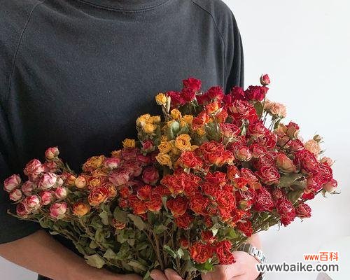 以玫瑰送几支，传递的情感和祝福不同 玫瑰花的寓意与意义