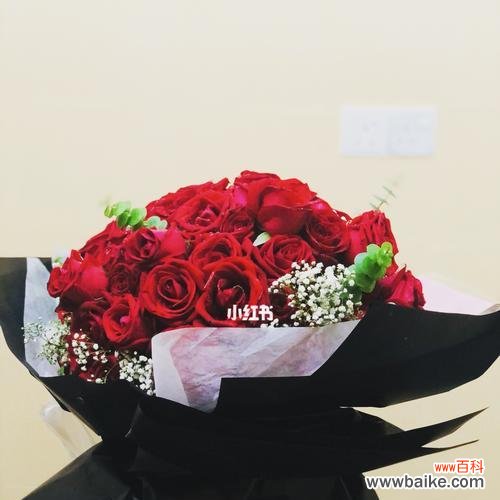 探索不同玫瑰数量所代表的含义 玫瑰花的语言