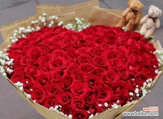 探索不同玫瑰数量所代表的含义 玫瑰花的语言