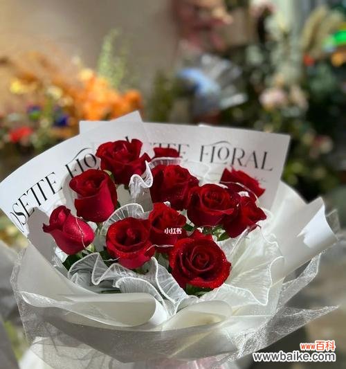 探索玫瑰数量背后的意义与象征 玫瑰数量寓意之玫瑰的情感语言