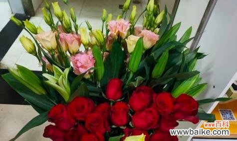 美丽、纯洁、爱情、祝福、诚实、温柔、奉献、优雅、激情、希望 玫瑰花的品格与象征