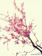 传承千年的纯真与希望 竹夹桃花的花语与寓意