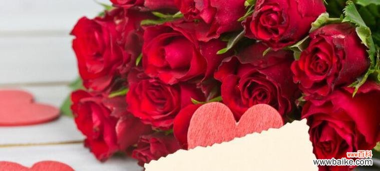 花语中代表强烈占有的颜色是什么?哪种颜色的花语含有占有意义?