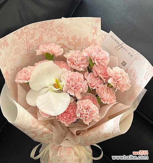 美丽的康乃馨代表什么花语?康乃馨有哪些美好的寓意?