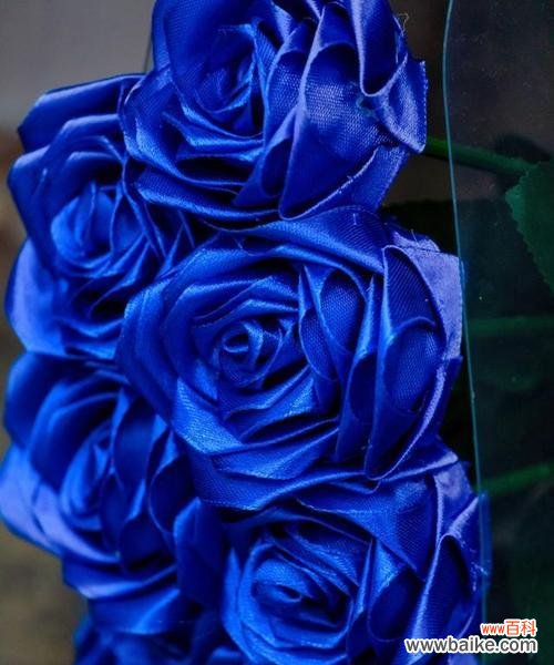 酒红配蓝色好看吗花语是什么?这种配色的花语是什么?