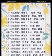 碧水繁华的花语有何寓意？其花语代表什么？