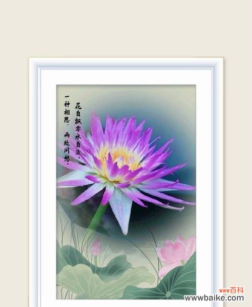 碧水繁华的花语有何寓意?其花语代表什么?