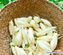 芝兰的花语有何象征意义？它代表了什么？