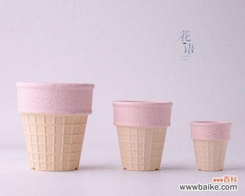 萌萌肉宝宝的花语有何寓意?