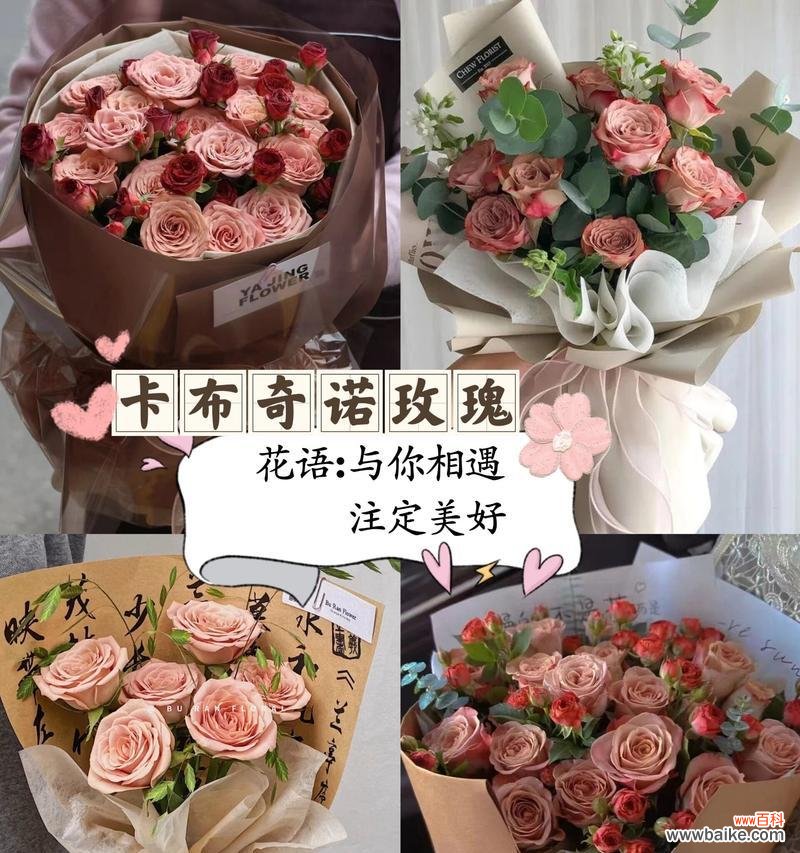 简简单单送花的花语有何深意?