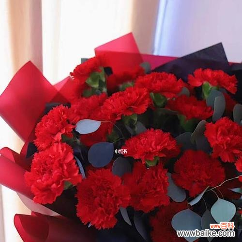 康乃馨花语的深层含义与传递的情感 康乃馨花语解析