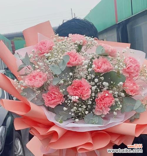 康乃馨花语的深层含义与传递的情感 康乃馨花语解析