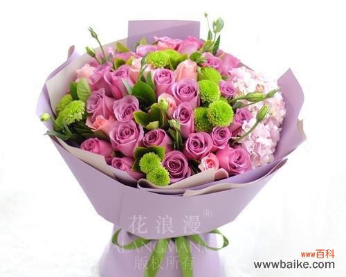 探索紫玫瑰的神秘魅力 紫玫瑰的象征意义与文化内涵