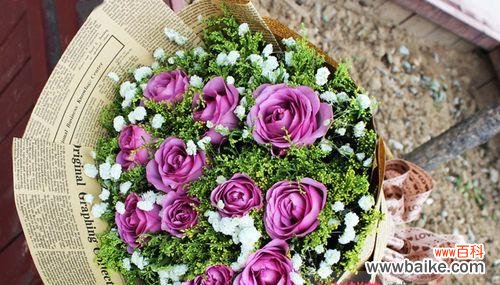 深情浪漫的紫色 紫玫瑰的象征意义