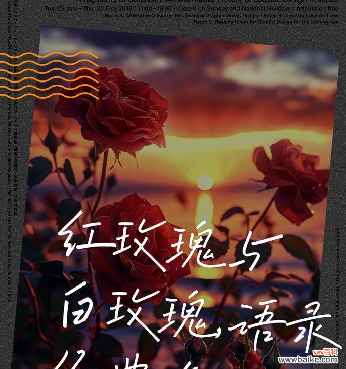 红白色玫瑰花的花语是什么？