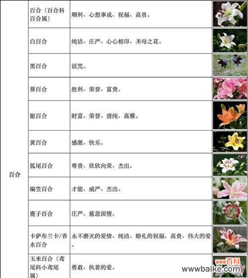 花语轩改名背后的原因是什么？