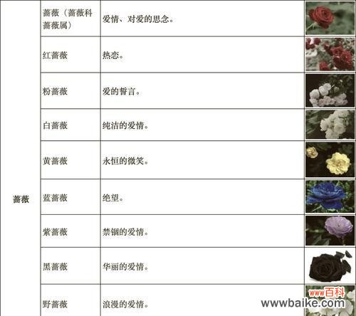 花语轩改名背后的原因是什么？