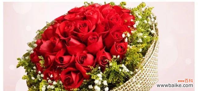 菩萨玫瑰花语有何特别之处?