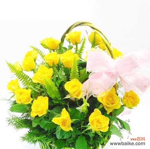 菩萨玫瑰花语有何特别之处?