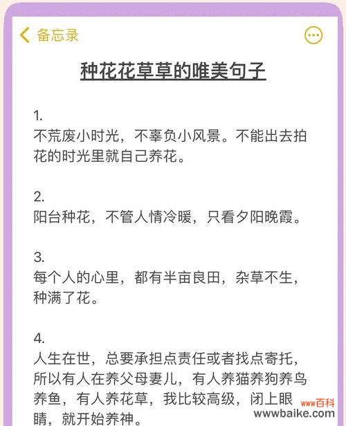 秋天的花语和寓意有哪些?