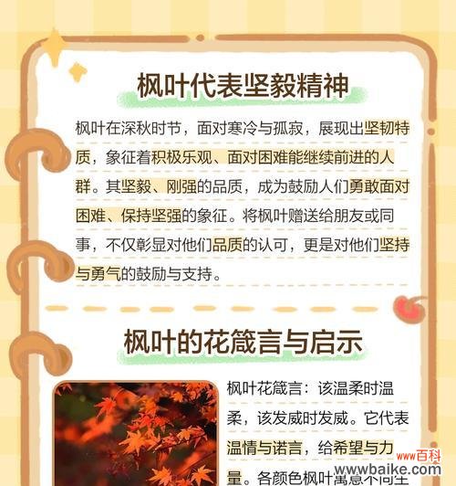 秋天的花语和寓意有哪些?